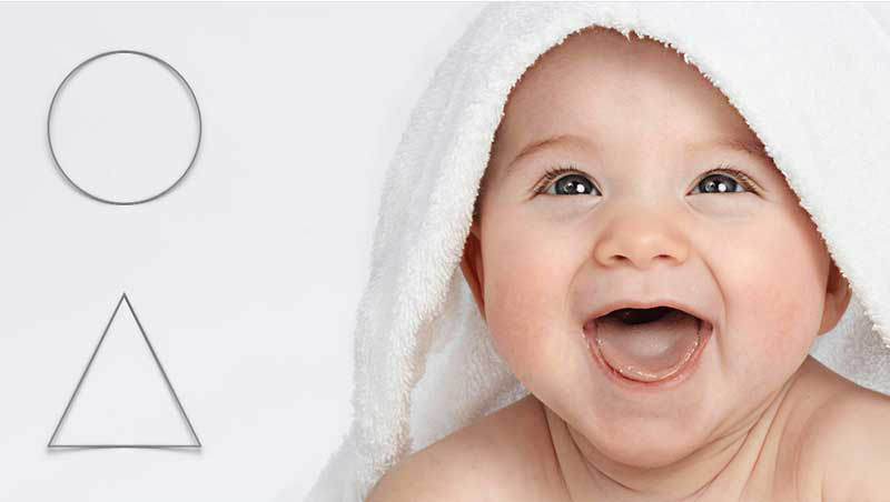 Our brain stores sensations as patchworks.