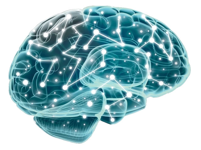 Gehirn Visualisierung