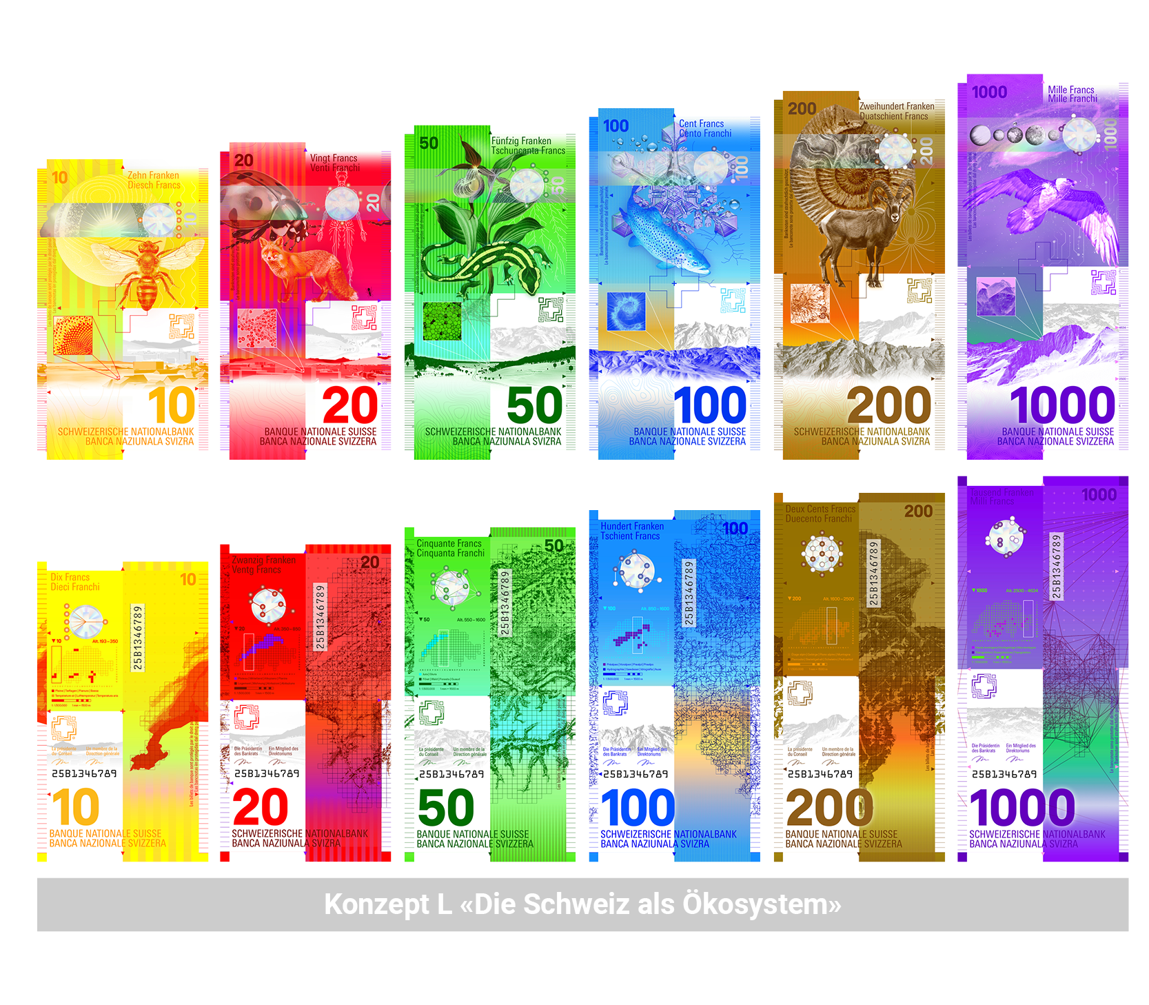 Konzept L